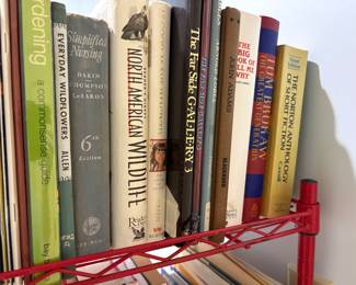 Master bathroom - books