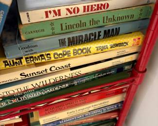 Master bathroom - books