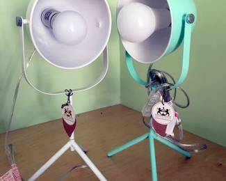 7969 White Turquoise lamps