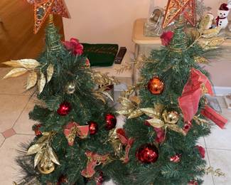 Christmas Trees In Planter