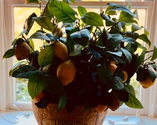Ceramic pot decorated with elephants and lemon tree