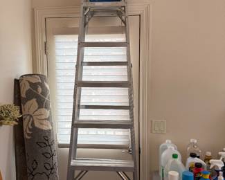 8 ft. Werner Ladder