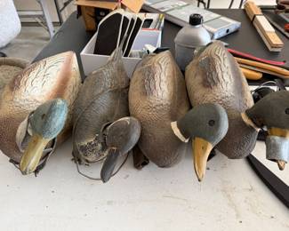 Duck Decoys