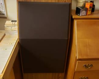 Pair of large DBX speakers