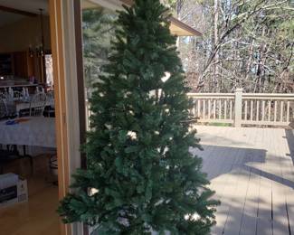 Christmas tree...clear or colored lights