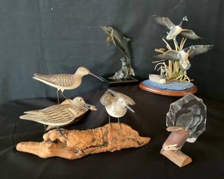 006 Waterfowl And Dolphin