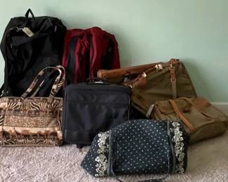 Luggage With Variety