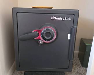 Sentry Safe