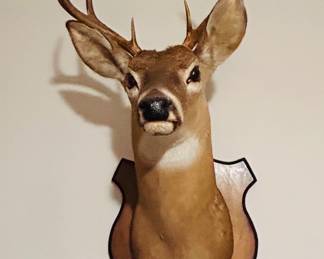Deer head 