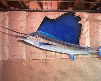 Large taxidermy sword fish 