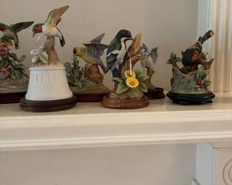 Gallery birds and woodpecker by Andrea