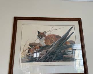 Red Fox, John A Ruthuen, Wildlife Artist, Pencil Signed