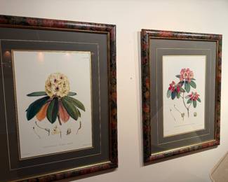 Botanical Framed Prints