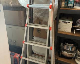 Little Giant ladder