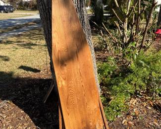 Antique Iron Board SC treasure