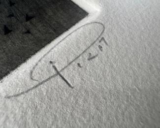 Framed Original Abstract Lithograph "Untitled" Signed Arthur Luiz Piza - Edition 72/99 (21"W x 27"H) 