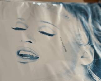 MADONNA BOOK