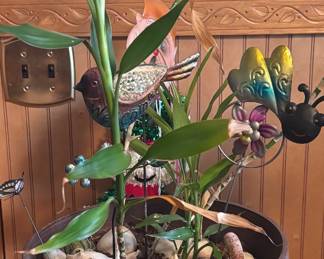 Several live plants!