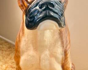 very large ceramic boxer dog repaired ear