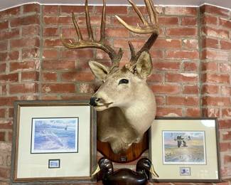 DEER SHOULDER MOUNT