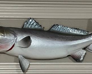 SPECKLED TROUT TAXIDERMY MOUNT 