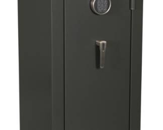 SENTINEL GUN SAFE