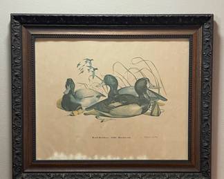WARD BROTHERS 1936 CANVASBACKS 353/1000