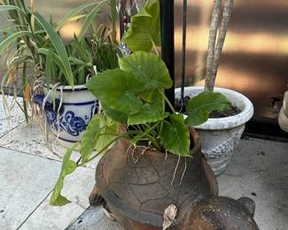 Terracotta Turtle Planter