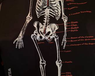 William Sonoma Halloween Kitchen Towel (3)