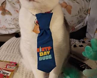 Rollin HAPPY BIRTHDAY!! ( family PET, NFS!)