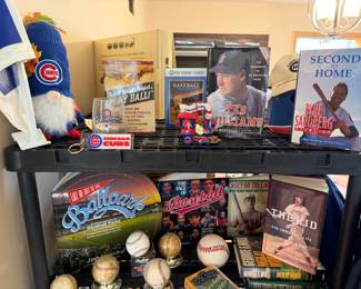 TAKE ME OUT TO THE BALL GAME!!