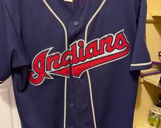 Majestic Indians ( now the guardian's) Grady Sizemore Jersey