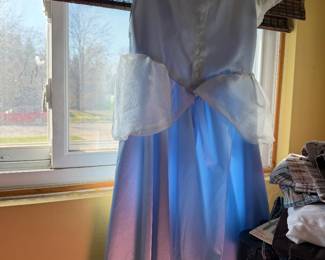 Adult Princess Dress