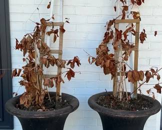 Two Brown Plaster Planters