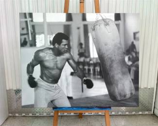 2 Large Sports Photo Prints On Stretched Canvas
