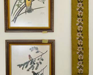 Framed Bird Prints 