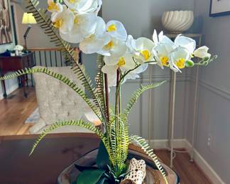 Complete Orchid Arrangement