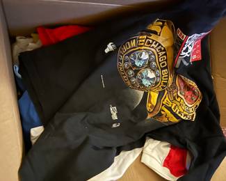 Chicago Bulls 2 in a row championships.