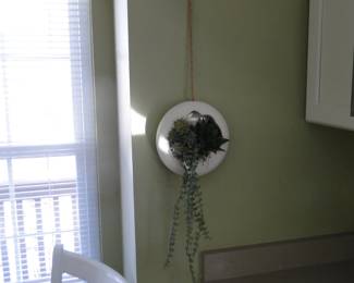 Plant hanging from twine