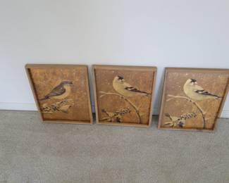 Three birds, in frames, makes a nice trio