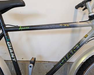 R95 - $50. Vintage Giant Bicycle from England.  Mens "Iguana" Model. Has been in storage for years - will need a tune up!