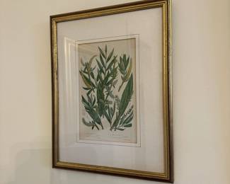 R54 - $75. Set of 4 Botanical Prints. Framed each measures 10.25" x 13.25".