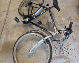 R95 - $50. Vintage Giant Bicycle from England.  Mens "Iguana" Model. Has been in storage for years - will need a tune up!