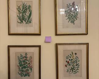 R54 - $75. Set of 4 Botanical Prints. Framed each measures 10.25" x 13.25".
