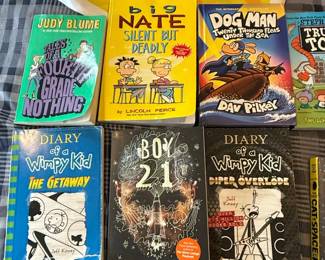 Childrens Chapter Book Collection
