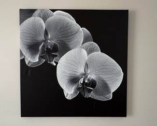 Black and White Orchid Canvas Print