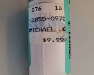 Michael Jordan Sealed Wings Poster 5268