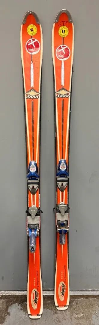 2 Pair Downhill Skis Rad Dog Dynastar