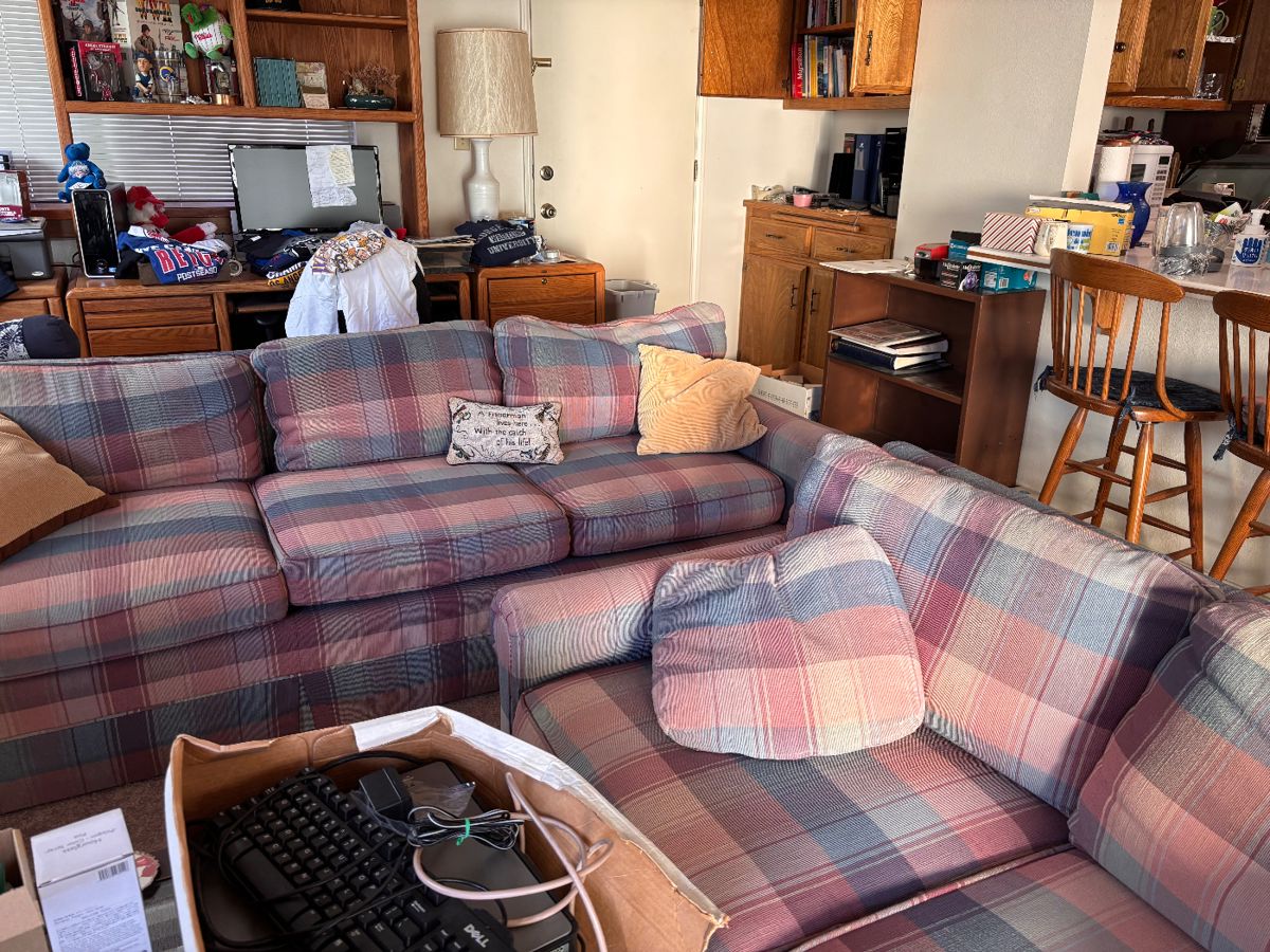 Plaid couches