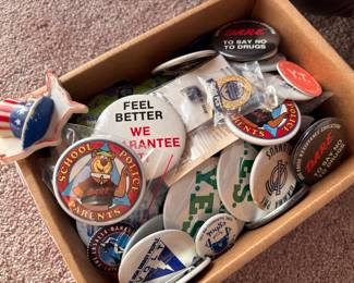 Pins including political pins
